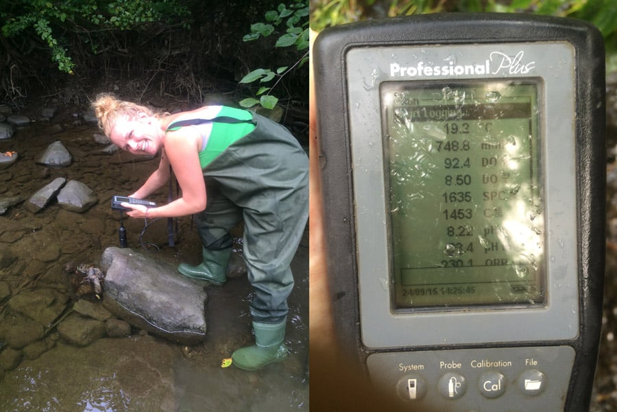 Look at those waders! pH was at 8.22, which is the highest value I'd seen in my testing so far, but is still considered 'normal'.