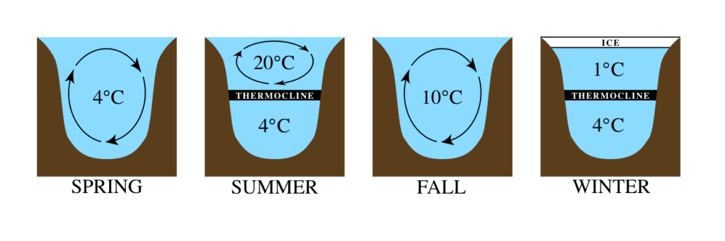 A typical pattern of seasonal mixing for lakes in temperate climates like Ontario's. 