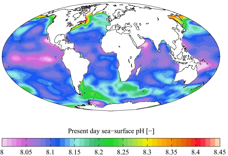 A graphic displaying the distribution of pH in saltwater across the world. Some areas closer to shore have a higher pH, while some offshore locations are lower. The ocean's average pH is ~8. 