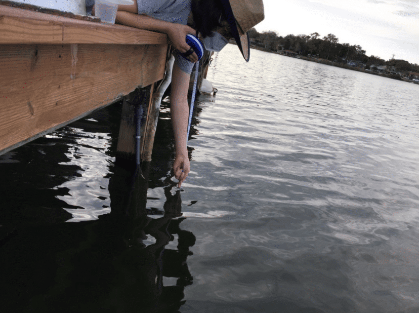 Using secchi disk to measure water depth 