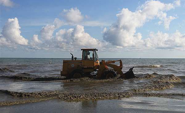 A bulldozer in Charlotte removing Cladophora algae mats from the waters