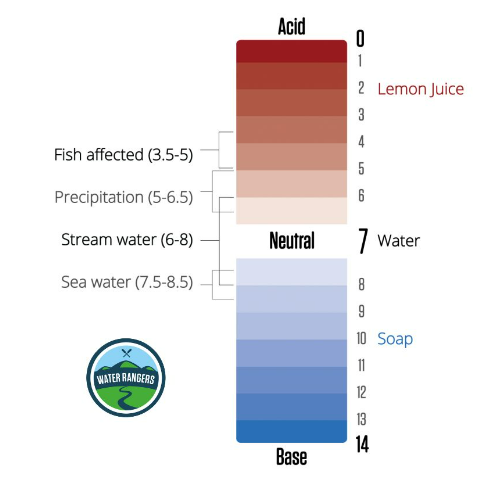 This image shows a scale of pH, going from zero which is very acid, to 14 which is very basic. The neutral is shown at 7. Stream water usually has a pH between 6 and 8. 