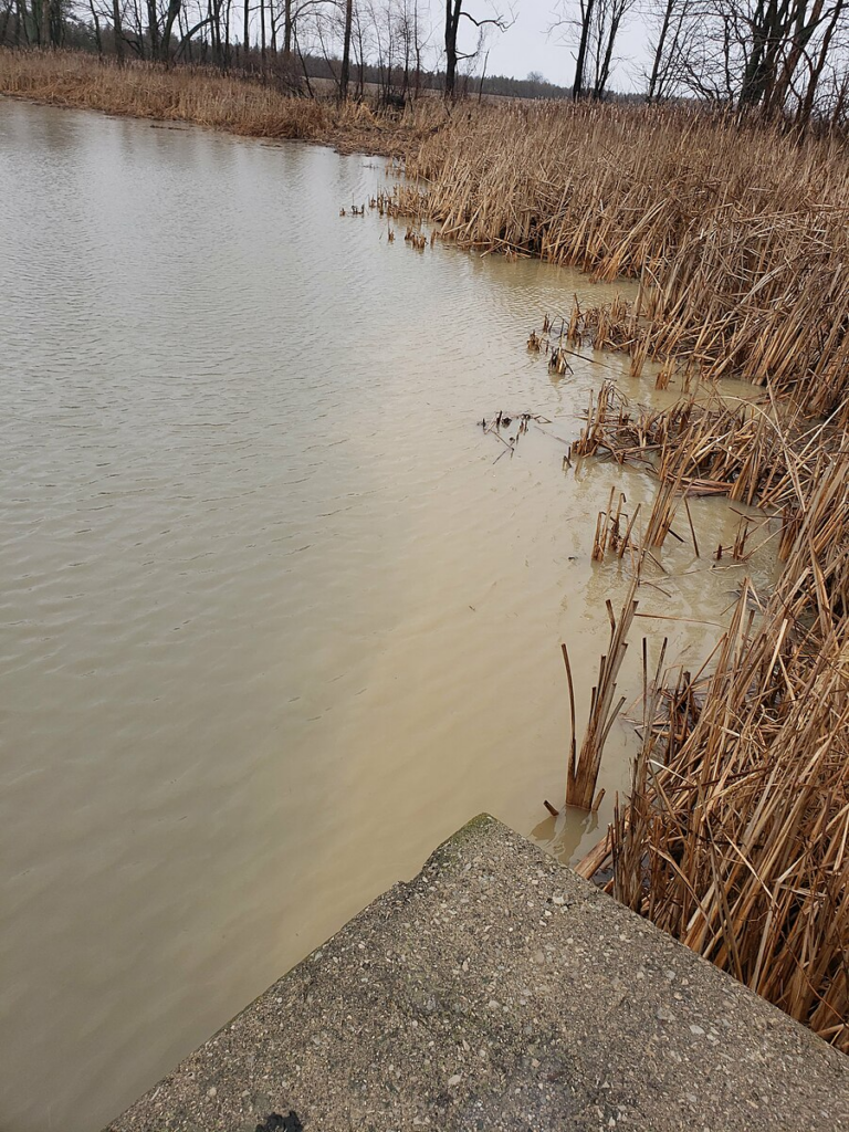 An observation captured by Lake Eerie Guardians at Willow Creek that shows how soil and sediment stays near the shoreline whereas vegetation cases a brownish colour in the water - reflecting changes in water clarity. 