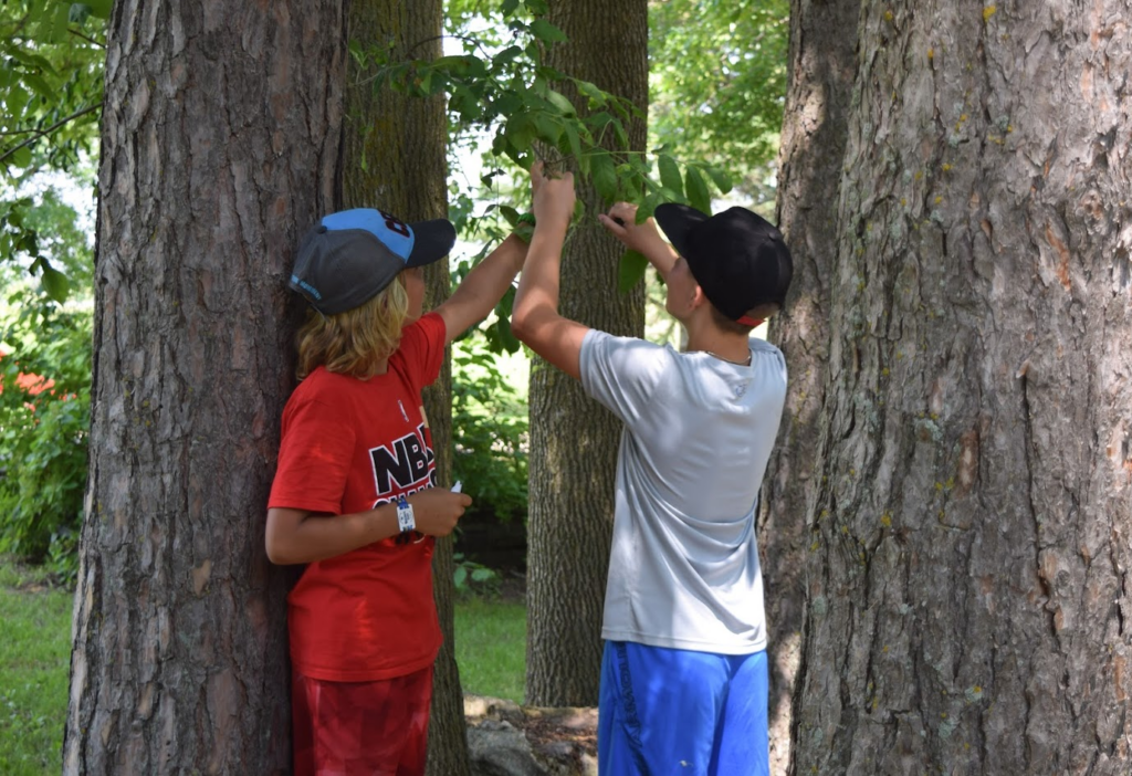 Young learners hanging their thermometers on a tree branch. 